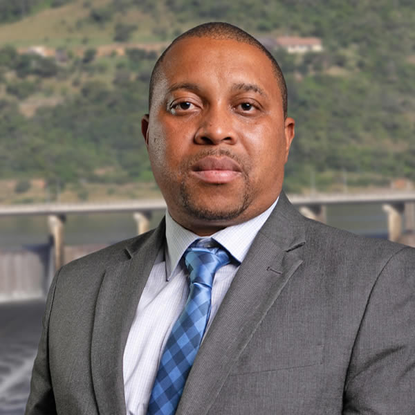 Mr. L. Mzizi &mdash; Vice Chairperson
